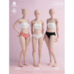 耐操 WorldBox 1/6 标准版AT201肥腿版AT202模特版AT203兵人素体