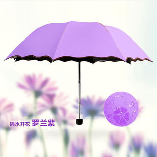 沧沐布伊情侣花色伞黑胶防晒太阳伞短柄三折雨伞遇水开花便携折叠