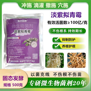 启明微生物菌剂淡紫拟青霉紫孢菌根线根瘤专用养根护根以菌克线肥