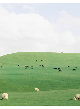 现代简约北欧草原马羊群小清新风景ins风装饰画贴画画芯自粘海报