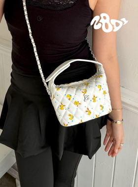 2801“千金小饭盒”Lady Hobo2026春新款 经典链条时髦百搭约会包