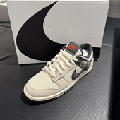IB7720 正品 110 LOW经典 复古百搭运动休闲鞋 NIKE耐克男子板鞋 DUNK