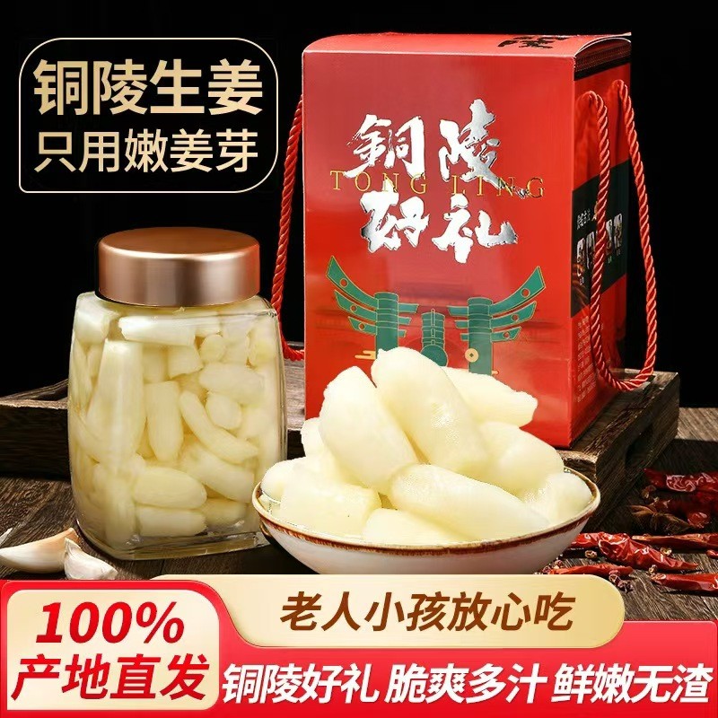 齐松铜陵生姜铜陵0添加嫩姜芽