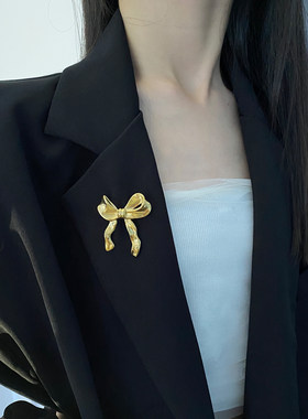 金属风女镂空蝴蝶结胸针别针