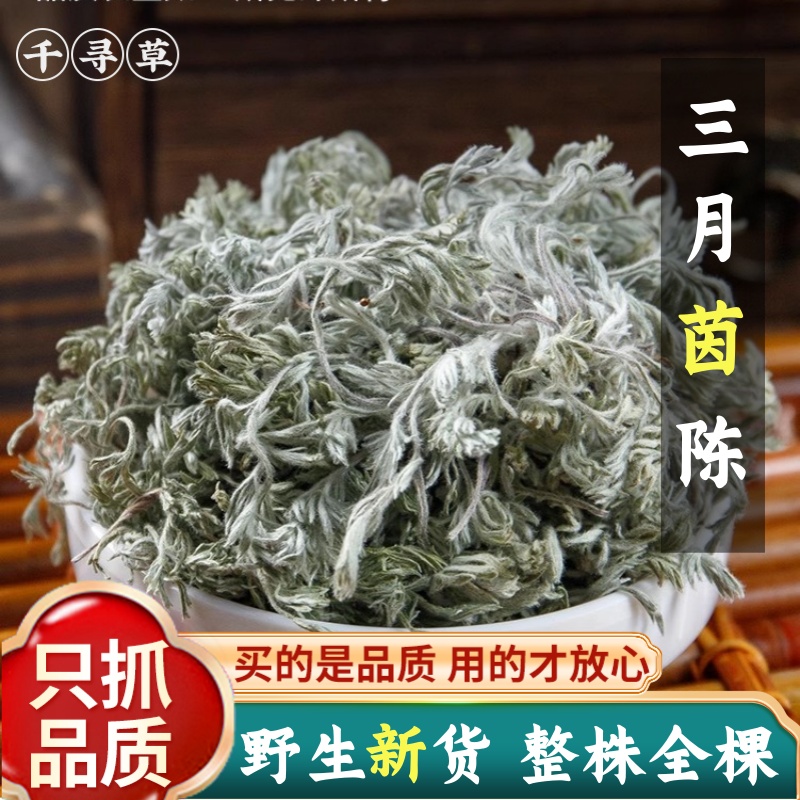 大别山野生绵茵陈整棵干品中药材500g新鲜白蒿晒干孕妇茵陈红枣茶