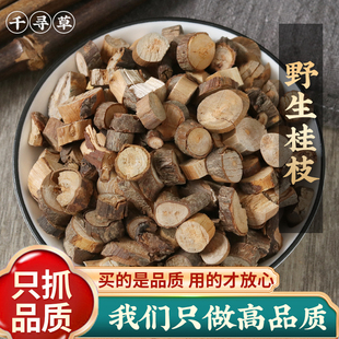 野生桂枝500g克当即新货搭配茯苓白术桂枝猪苓泽泻组合五苓散原料