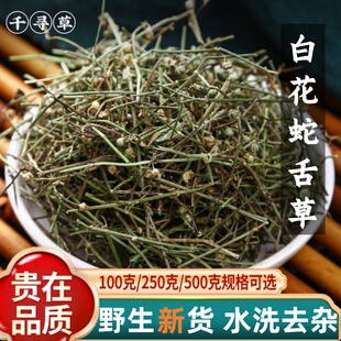 野生白花蛇舌草500g中药材新鲜百花蛇舌草茶半枝莲铁树叶蛇草泡水