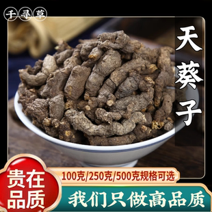 野生天葵子中药材500g紫背天葵紫贝天葵千年老鼠屎天葵草水洗干货