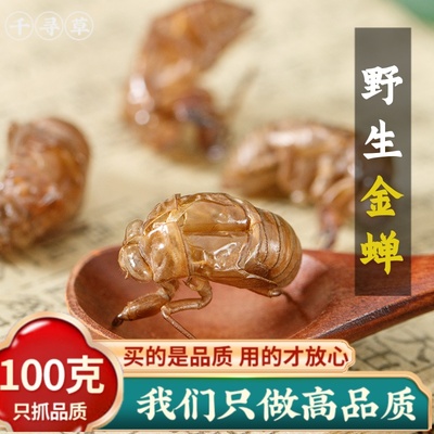中药材野生蝉蜕100g精选优质水洗金蝉金蝉壳蝉皮知了壳可免费磨粉
