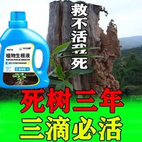 生根液植物通用营养液生根药水复活液枯树再生液树木扦插强力快速