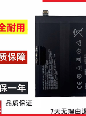 适用于OnePlus Nord2 5G 一加Nord2 5G DN2103手机电池BLP861