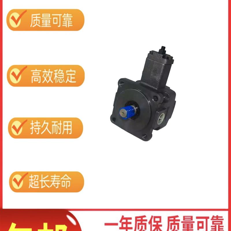 注塑机液压泵VP-SF-40/VP-SF-30-A液压油泵VP-SF-15-B