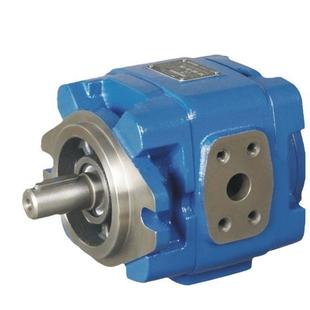 01R 美国SUNNY内啮合齿轮泵伺服高压油泵HG22 100 VPC 125