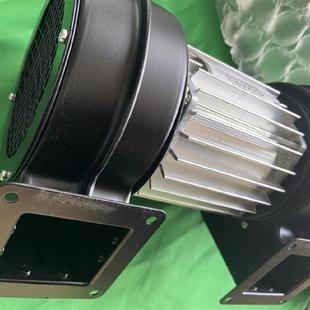 P08 C01 专注工业进口10年 400 齿轮泵