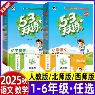 2025春秋53天天练语文+数学人教版一二三四五六年级上册同步练习册 下册曲一线小儿郎五三天天练小学训练5.3课堂笔记试卷2024