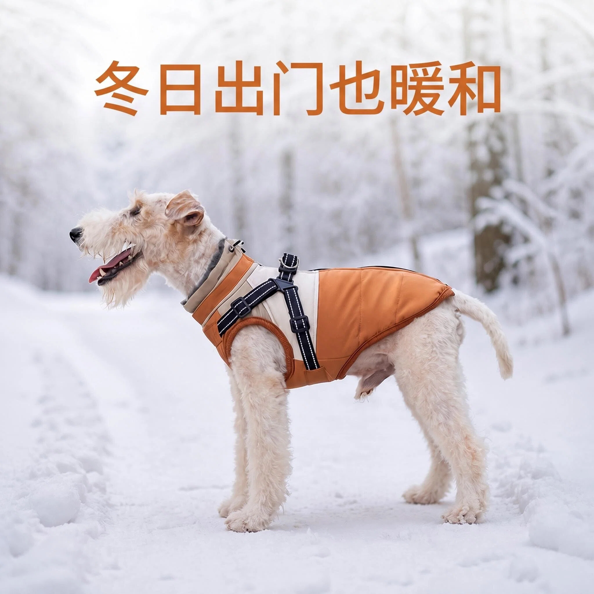 小狗秋冬拼色棉衣加绒保暖牵引防泼水刚毛猎狐梗西高地雪纳瑞柴犬