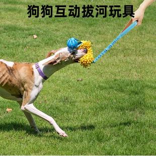 2024狗狗互動拔河拉繩彈力巡回訓練幼犬磨牙解悶邊牧金毛柯基柴犬