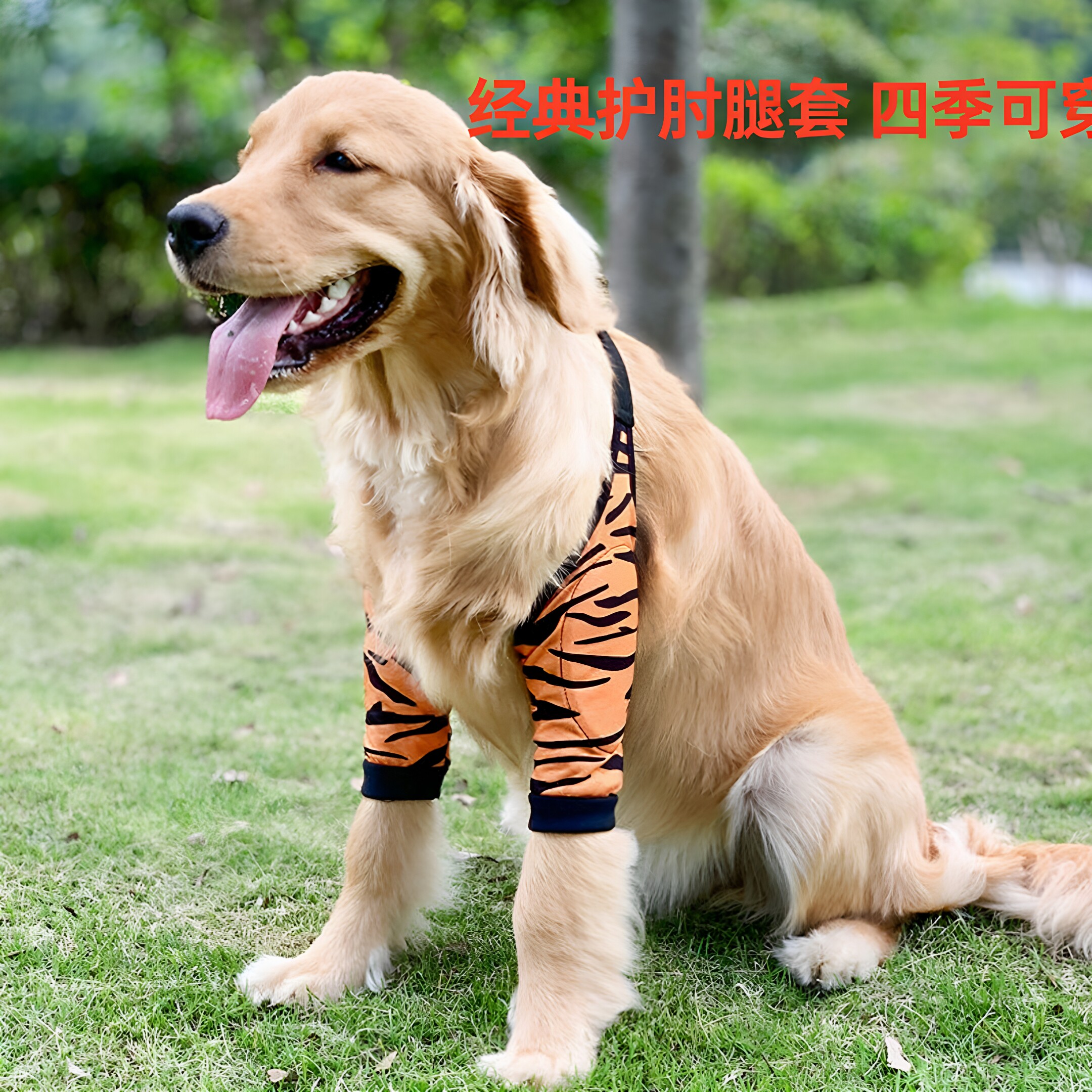 四季护肘肘部垫片防磨防红肿