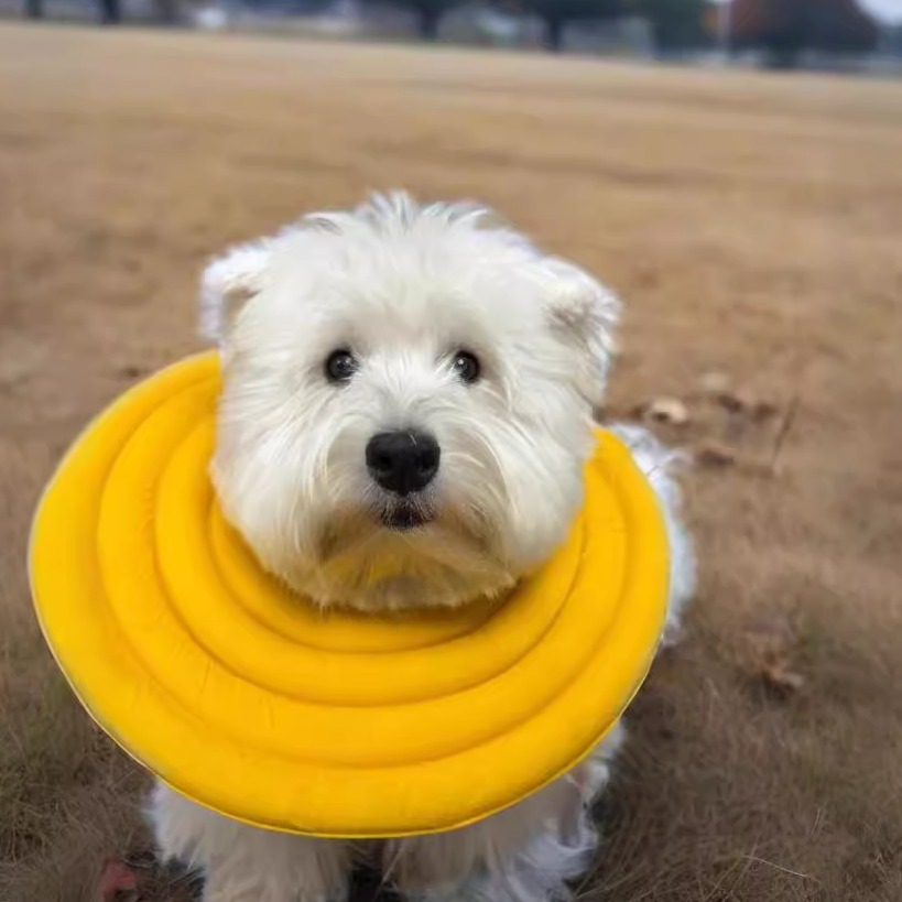 西高地专用伊丽莎白圈轻软脖圈防舔防咬皮肤绝育恢复甜甜圈泰迪