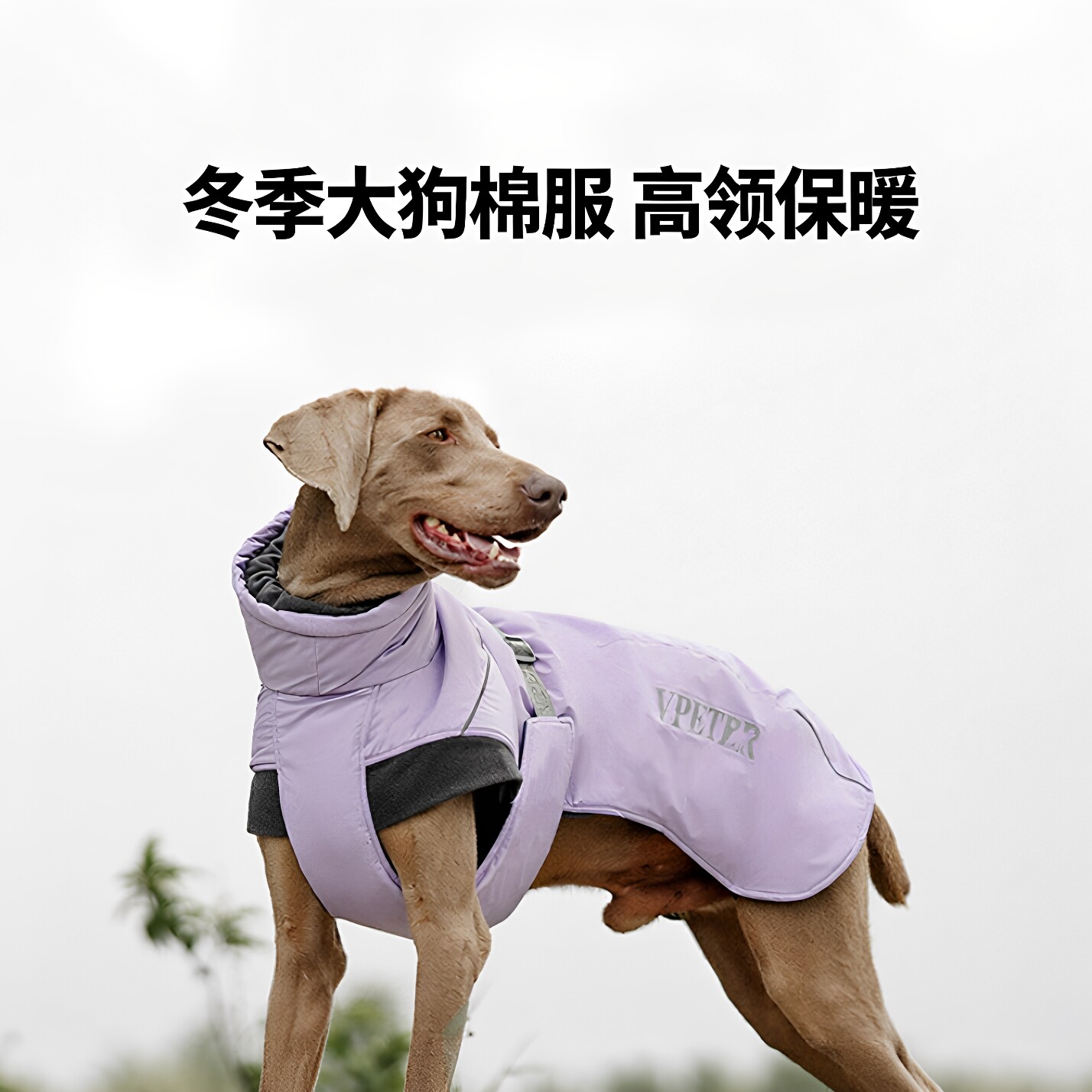 冬季大狗高领棉衣户外保暖加厚反光防水金毛边牧哈士奇拉布拉多