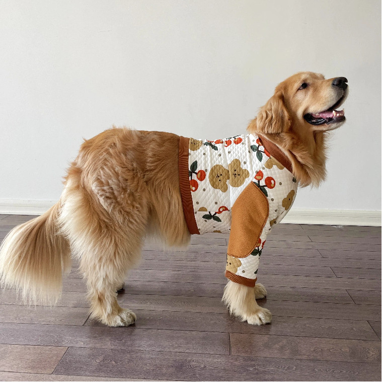 狗狗护肘衣春秋冬关节加厚防磨中大型犬拉布拉多金毛边牧2601,宠物/宠物食品及用品,狗宠物服装/雨衣,淘宝优惠券,粉丝福利购,淘宝优惠卷