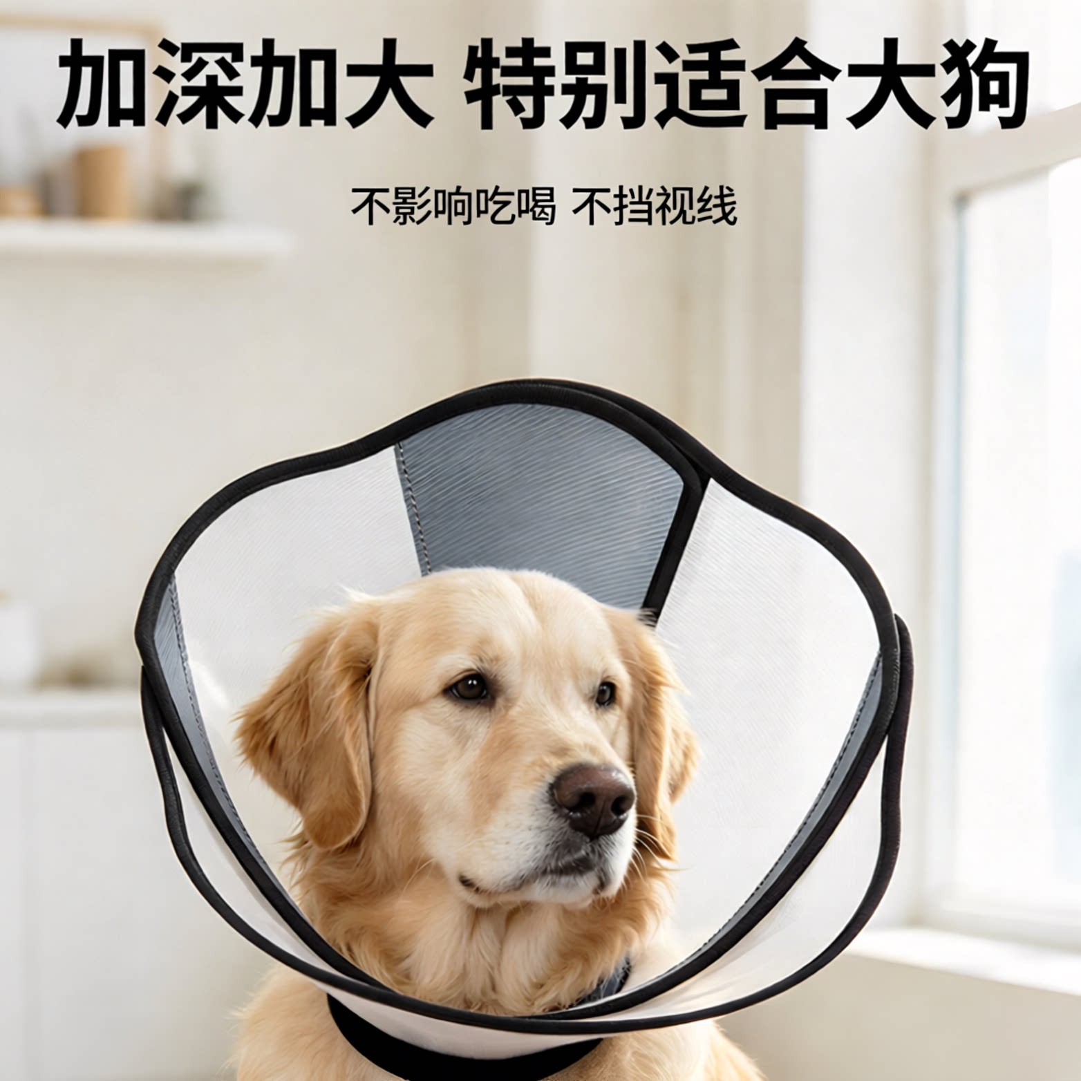 狗狗加深伊丽莎白防抓舔宽绝育皮肤后腿尾巴金毛边牧拉布拉多0715