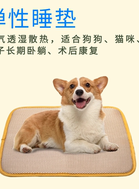 狗睡垫四季透气防潮可洗防咬弹性防褥疮瘫痪伤残术后恢复猫兔医院