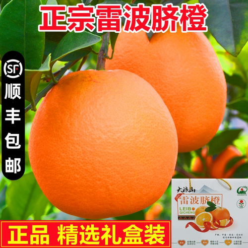 正品特级正宗四川大凉山雷波脐橙
