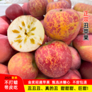 云南昭通丑苹果新鲜水果红富士冰糖心红苹果脆甜现摘应季 水果整箱