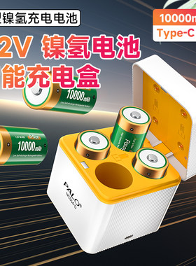 1号充电电池充电器燃气煤气灶热水器手电筒大玩具D型一号可以充电大容量电池多功翻盖收纳式USB充电器