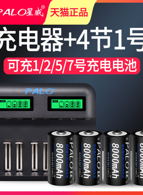 星威1号多功能智能充电器配4节1号D8000毫安充电电池热水器煤气灶