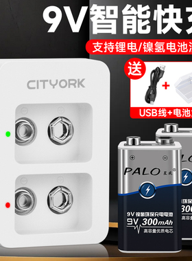 星威9V充电电池充电器套装无线话筒万用表测体温枪仪器仪表吉他方块形6f22充电器可充九号伏电池充电器