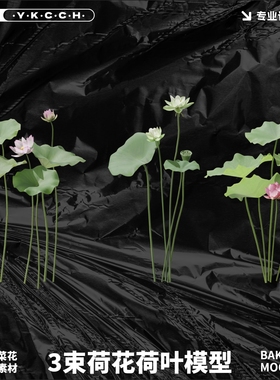 Blender Fbx OBj荷花莲花青莲荷叶水培植物模型3D素材设计文件411