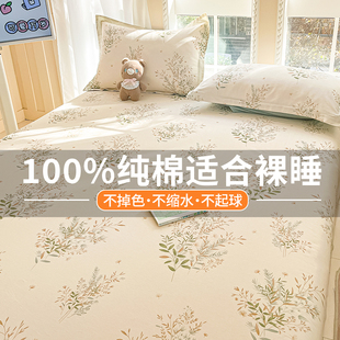 加厚纯棉床单单件100全棉宿舍单人双人被单枕套三件套2024新1米5