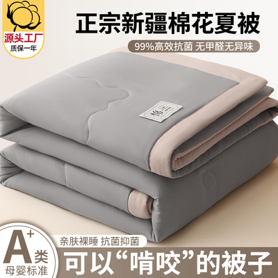全网低价：A类新疆纯棉棉花夏被