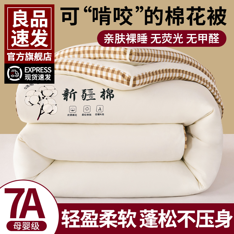 新疆棉花被子被芯加厚保暖冬被