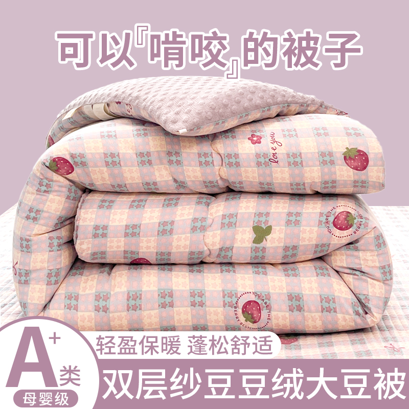 秋冬季双层纱豆豆绒被子被芯