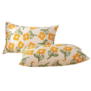 老粗布枕头套一对装单个48cmx74cm家用可爱2024年新款非全棉纯棉