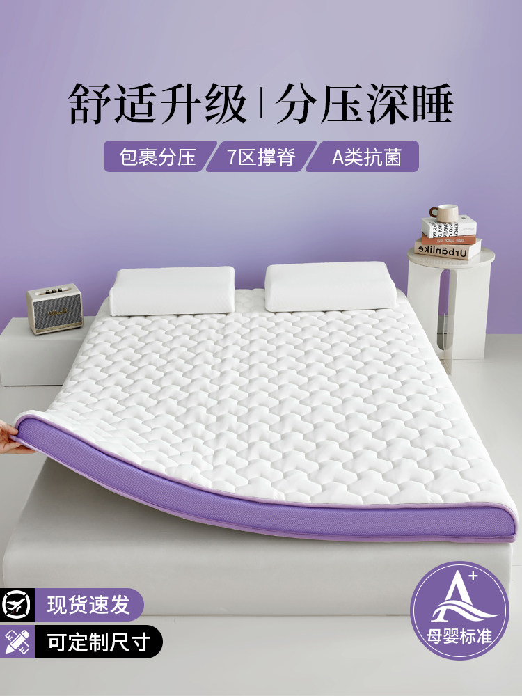 2025新款乳胶记忆棉床垫软垫家用卧室租房专用宿舍单人床垫保护垫