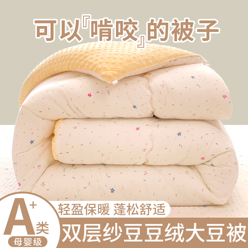 秋冬季双层纱豆豆绒被子被芯