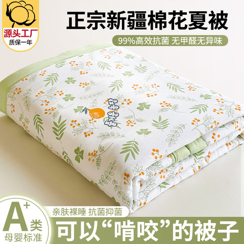 全网底价：A类新疆纯棉棉花夏被