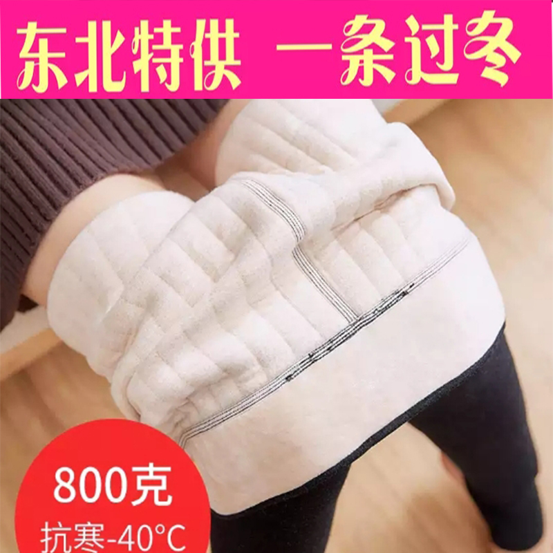 800¿Ë