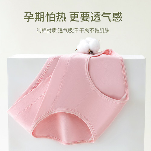纯棉低腰梦美美孕妇内裤托腹