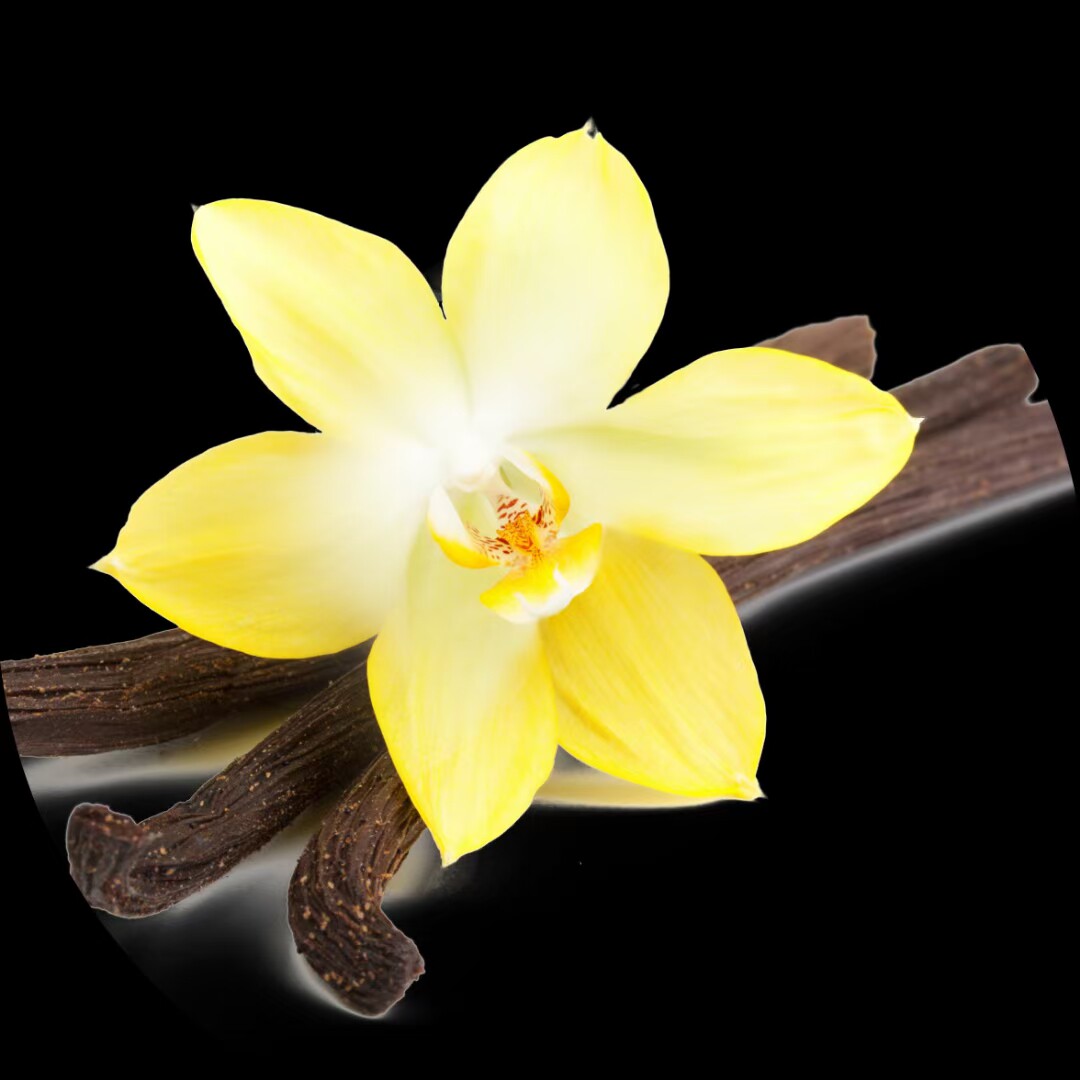 金牌奢华香草香精 proflavor 耐高温水溶性多用途香精