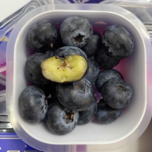 果一杯 新鲜水果天津当日达星辰大蓝莓杯22 100g 鲜易达