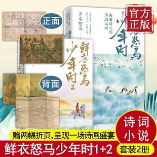 鲜衣怒马少年时1+2套装共2册【赠诗画折页】少年怒马著 唐宋诗人的诗酒江湖 开元盛世繁华危机唐宋诗人文学古诗词鉴赏诗歌词曲书籍