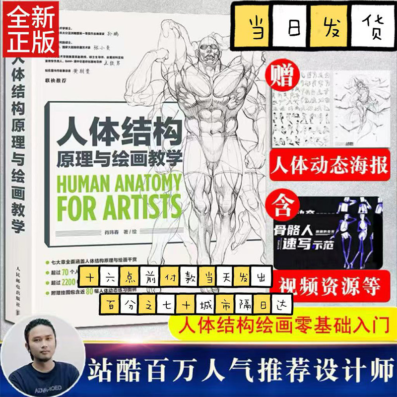 人体结构原理与绘画教学 肖玮春 画画的春哥 艺用人体人体结构基础教程解剖 伯里曼游戏动漫人体造型 手绘漫画,书籍/杂志/报纸,绘画（新）,淘宝优惠券,粉丝福利购,淘宝优惠卷