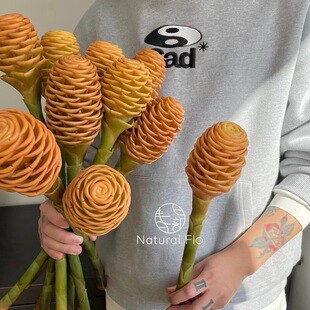 进口超可爱蜂蜜棒鲜花香波姜蜂巢姜家居插花水养节日送花空运直发