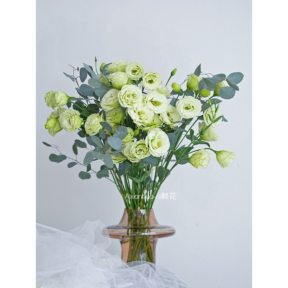 青苹果绿洋桔梗鲜花插花水养送花