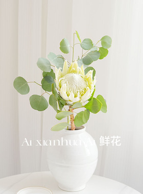 进口高级大气白色帝王花鲜花家居插花水养花期长可做干花节日送花